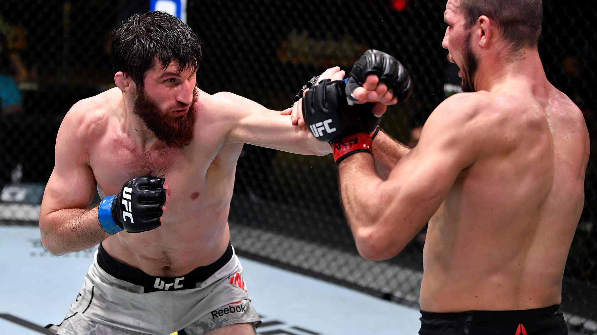 尤其是在那 尤其是在那