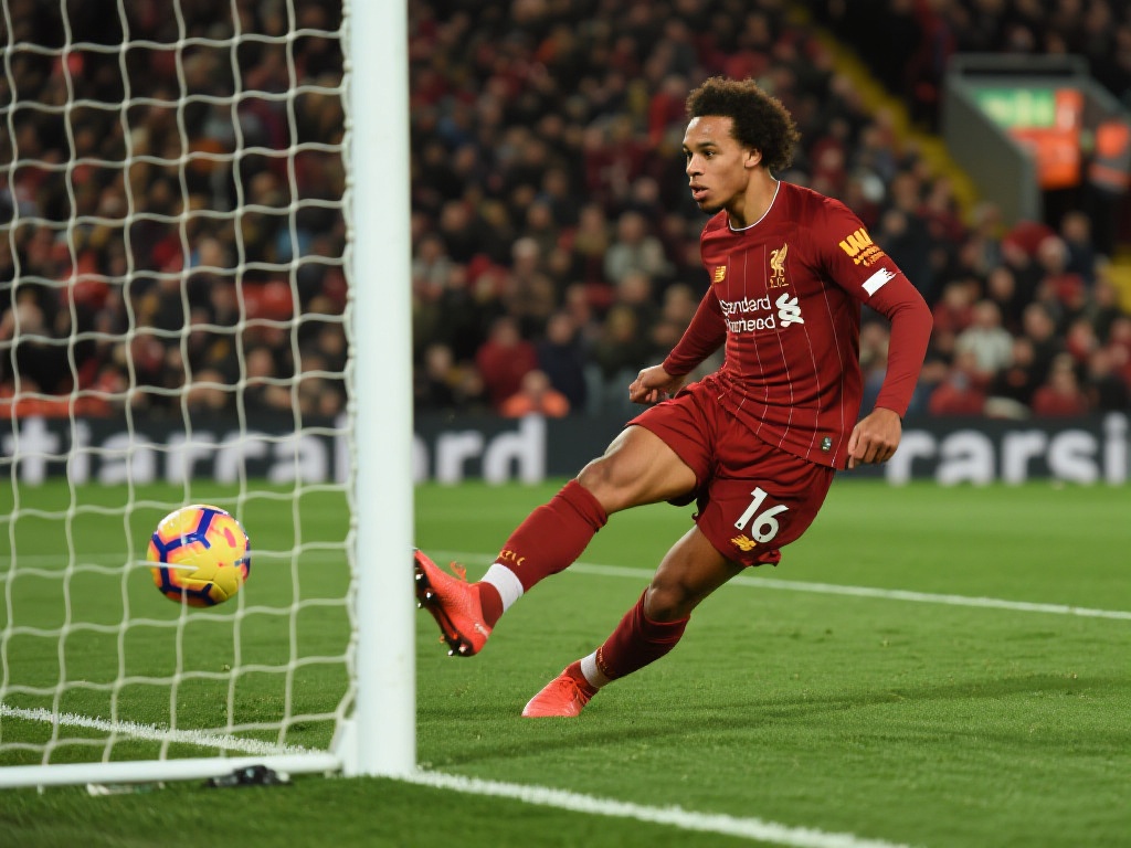 我们将为您 我们将为您